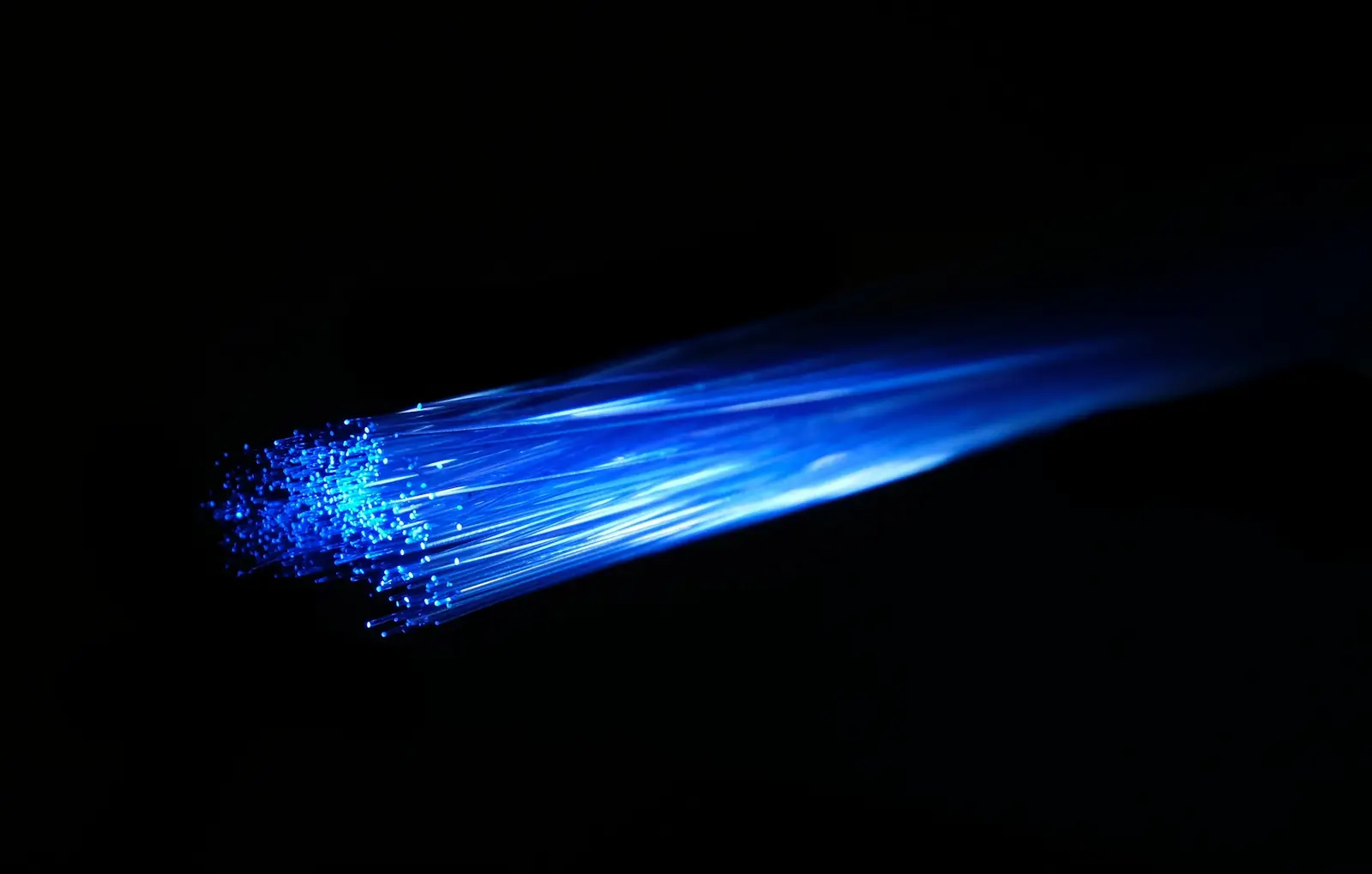 Siyah fonda mavi ışık taşıyan fiber optik kablo demeti